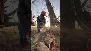 Аккумуляторная бензопила Stihl против бензиновой цепной пилы