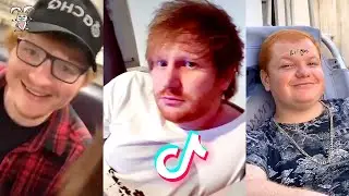 OMG ITS ED SHEERAN *Tik Tok* Compilation  [Ed Sheeran Look-ALikes]👨‍🦰🎤