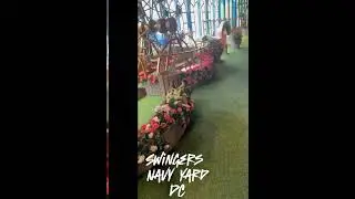 Washington DC | Swingers Crazy Golf #dateideas #travel #thingstodo