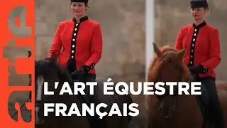 À Chantilly, des chevaux et du sang bleu | Invitation au voyage | ARTE