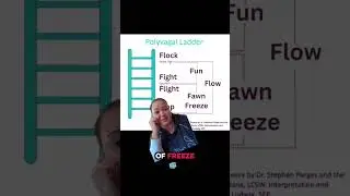 Explaining the Polyvagal ladder 