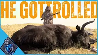 Я нашла гигантского яка на его карте!!! Зов дикой природы #cotw