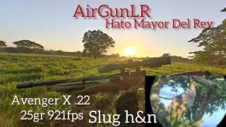 Cacer&iacute;a De Guineas Con El Avenger X .22 25Gr 