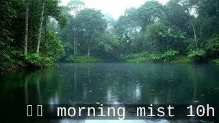 Cinematic Tropical Rain &mdash; 10 Hours of Lake & Rainforest (Static Shot, 4K ASMR)