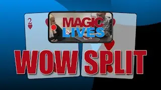 WOW Split | Amazing Card Splitting Routine