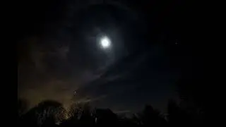 Moonlit Night 🌙 Gentle Wind Sounds for Sleep & Meditation