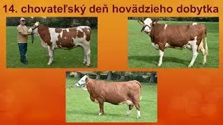 17. chovateľsk&yacute; deň hov&auml;dzieho dobytka