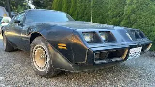НАХОДКИ ИЗ АМБАРЯ | Pontiac Trans Am Turbo 1981 года!