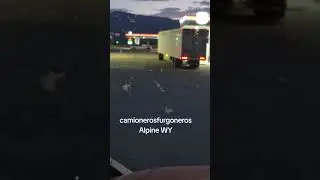 Brekas de trailer no trabajan