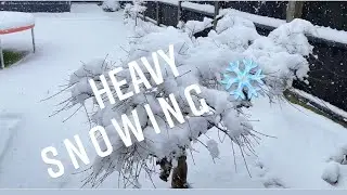 Snow Weather UK Video 24 January 2021