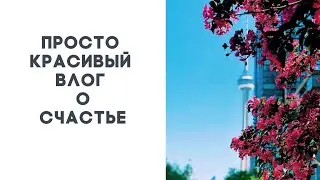 vlog.TO /Счастье в повседневной жизни/ Цветущий Торонто/ Old Mill /Harbourfront