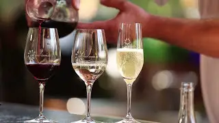 Wine Tasting Tips | Traverse City Wineries