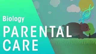 Parental Care | Ecology and Environment | Biology | FuseSchool