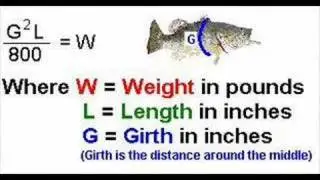 Formula For Predicting Fish Weight