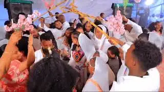  ድሙቅ ጎይላ  መርዑት ምስ ቤተሰብ ብዝገርም ወነን ሳዕስዒትን Amaizing bahlawi hot tigrgna music at weeding 