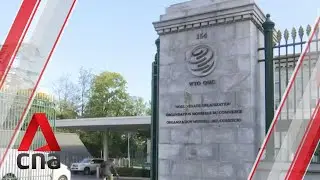 WTO finds some US tariffs on Chinese goods violated global trade rules