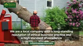 Triton Tree Service Virginia Beach Virginia 23451