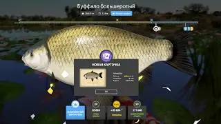 2 СИНЯКА ЗА ЧАС НА АХТУБЕ, НОВЫЕ ФАРМЫ НА МЕДНОМ И ЯМЕ, РАЗДАЧИ НА СУРЕ В РУССКОЙ РЫБАЛКЕ 4 РР4
