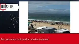 Rob met abnormale gedrag van kant gemaak