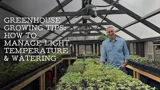 Greenhouse Growing Tips: How to Manage Light, Temperature & Watering