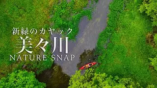 【北海道ネイチャースナップ】美々川カヤック、新緑の湿地帯を下る