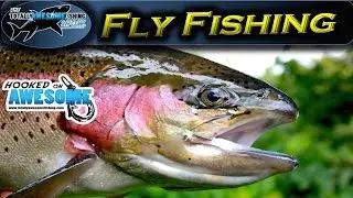 Stalking Big Rainbow Trout | TAFishing