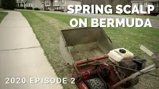Spring Scalp on Bermuda with TruCut - 2020 Episode 2