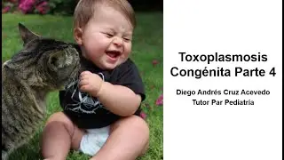 Toxoplasmosis Congénita: Manejo y Prevención primaria (Parte 4)