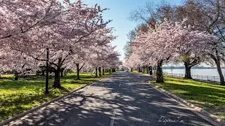 East Potomac Park, #WashingtonDC