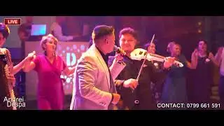 Andrei Despa LIVE ❌ MOARA CU NOROC ( cover Viorica de la Clejani )