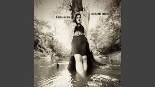 Black Dog