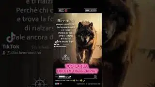 Si la versione migliore di te! 💞 #offrolavoro #lavoroonline #networkerpro#libertafinanziaria