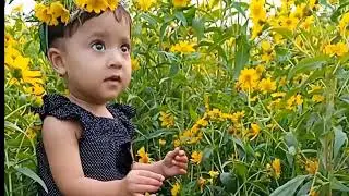 যেদিকে তাকাই শুধু  ফুল আর ফুল দেখা যায় 