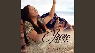 O Voo da &Aacute;guia (Playback)