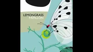 LEMONGRASS &ndash; 04 Shiny Pebbles (Feat Jane Maximova)