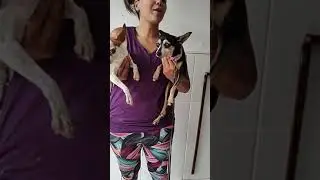 Tchau sujeira  Sofia i Yuli