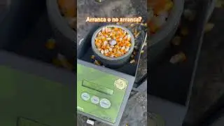 Estar&aacute; el maicito? 🌽