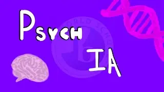 IB Psychology: Internal Assessment Pt.1 How to write the introduction