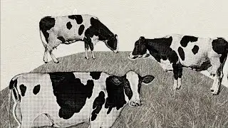 What's really in your oat milk? Avoid the cow. And the bull.