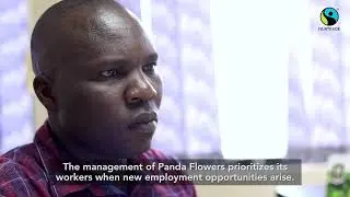 Panda Flowers- Premium Impact Video