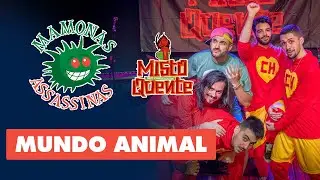 MUNDO ANIMAL - Tributo Mamonas Assassinas - Banda Misto Quente
