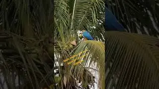 Viva a natureza, viva as belezas do nosso planeta.