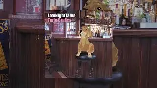 Les Barons - Lagos Soundsystem (Late Night Tales: Turin Brakes)