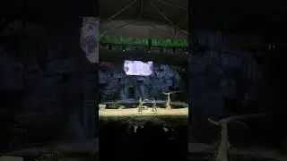 Bird Paradise | Show | Singapore