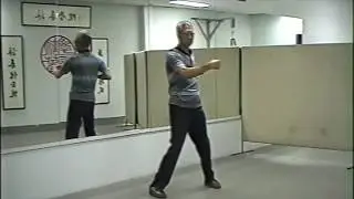 Wing Chun. Chu Shong Tin. Biu Jee - 6.