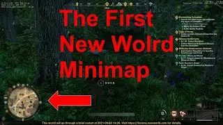 New World Minimap