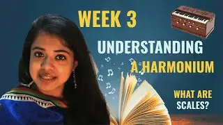 Week 3: What are Scales? (Understanding a Harmonium) | Chandrani’s Online Music Class