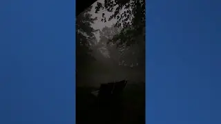 Strong winds strike in Kalamazoo