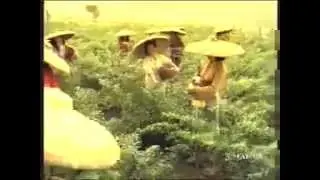 Iklan Indomie tahun 1993