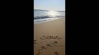 Steve ocean waves